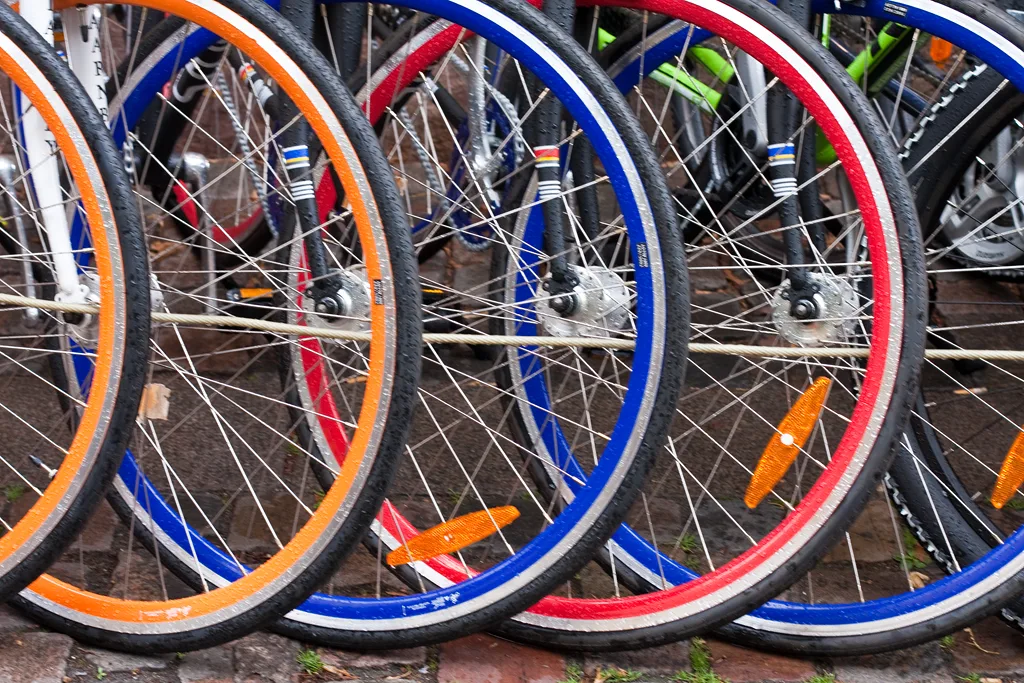 7772284876 3254e81b2a b