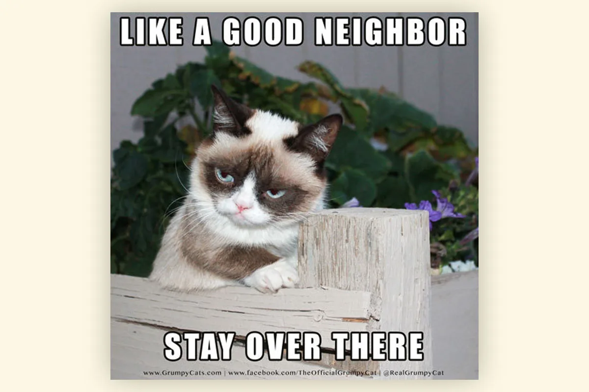 vctr.media 1576664384