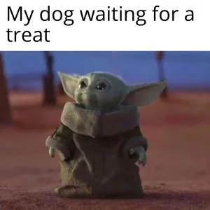 video image 81RbpLXcO