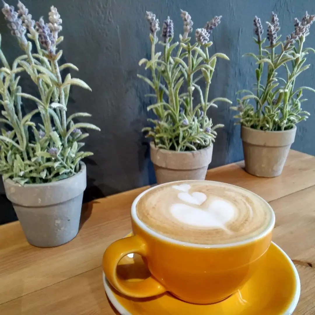 84338099 206019344114815 7981520951041981053 n