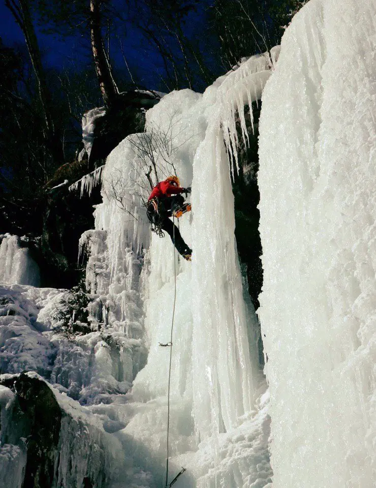 photo5422511243765329446 e1583853916384