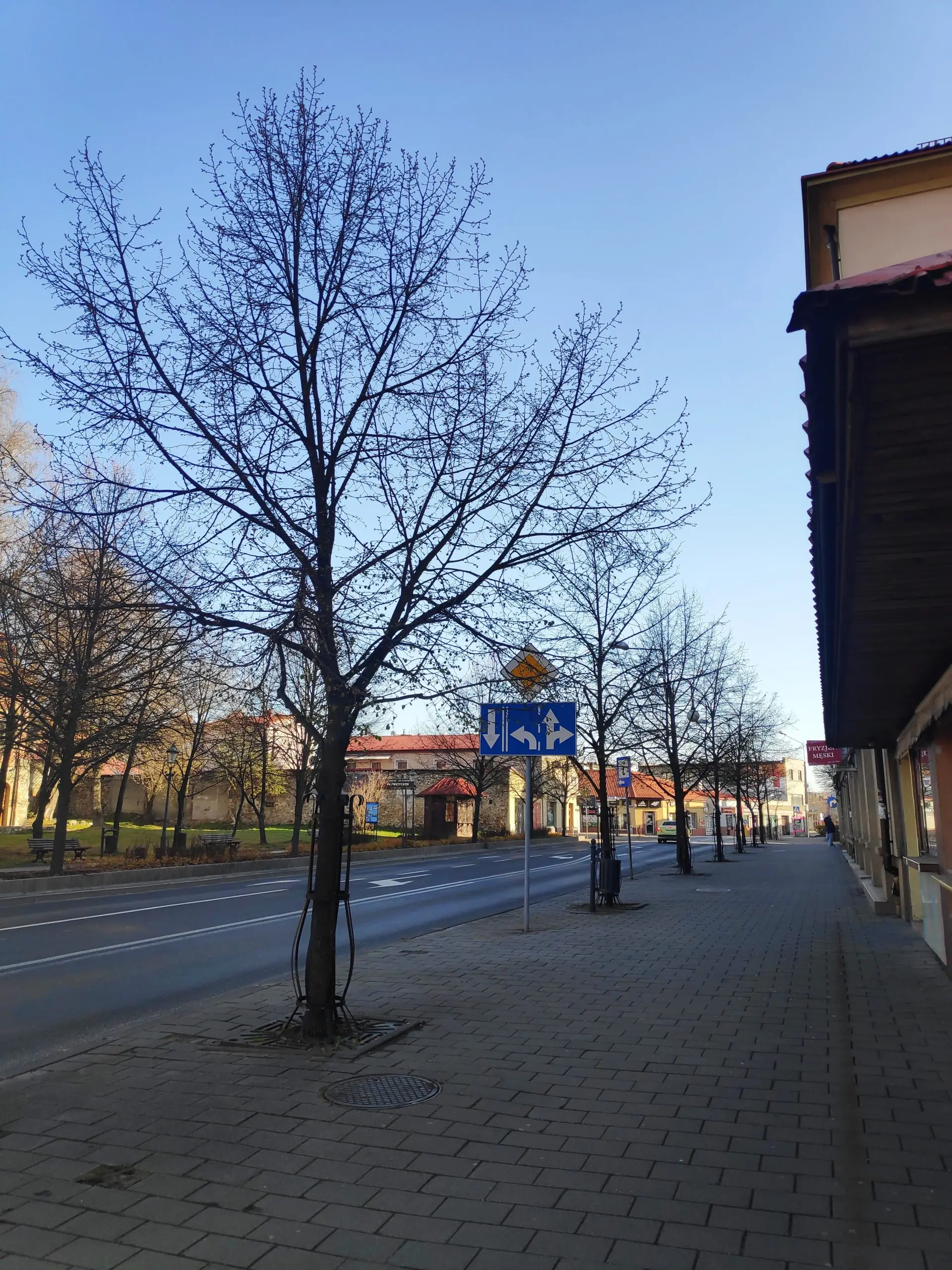 93414228 1915554628577624 2029832983250206720 n scaled