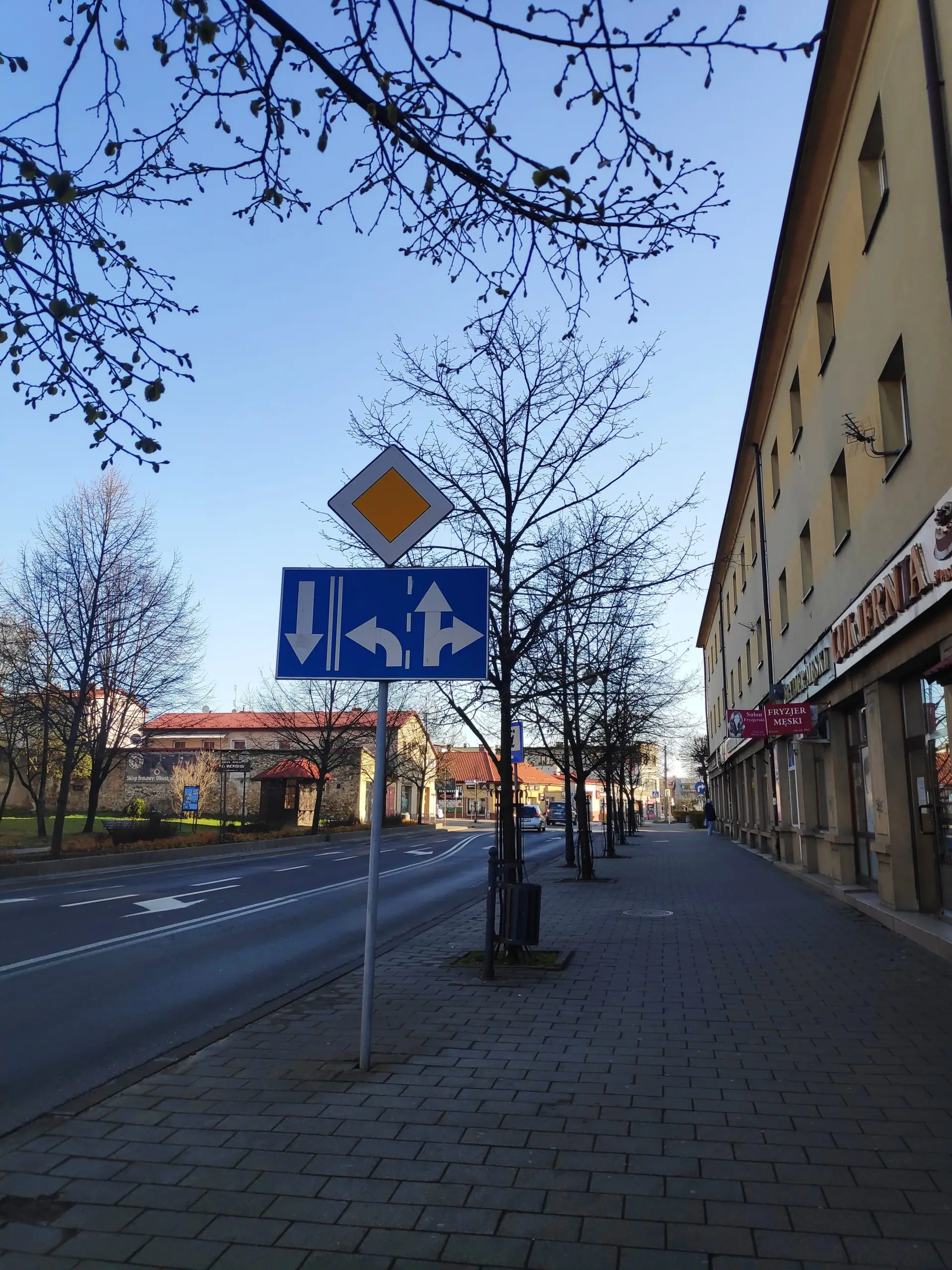 93422701 223956598711941 165366188040257536 n scaled