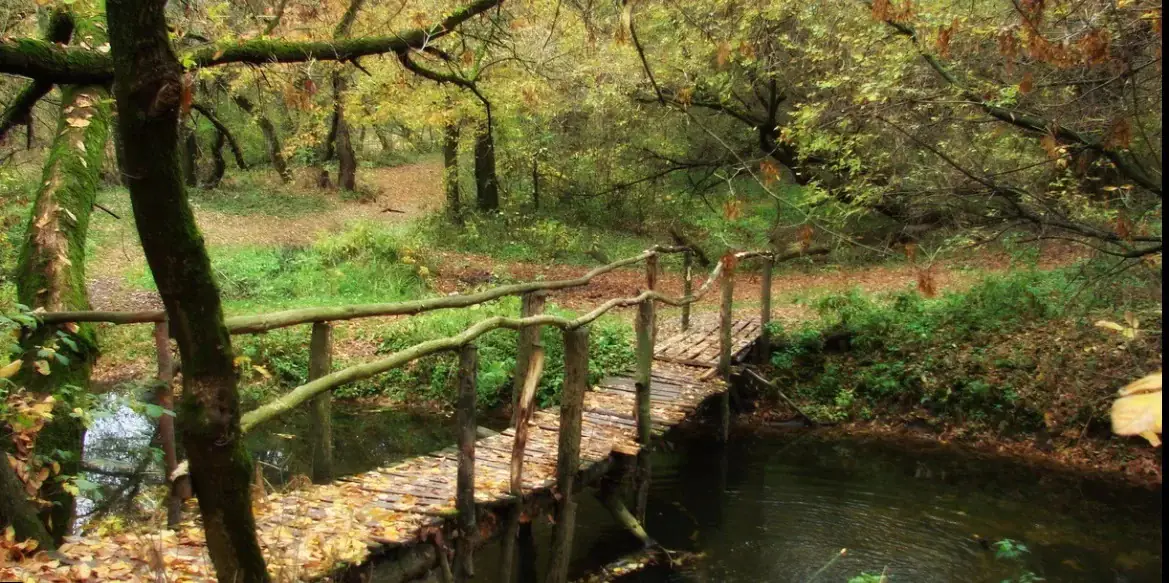 Набережна р. Псел журнал цукр Суми