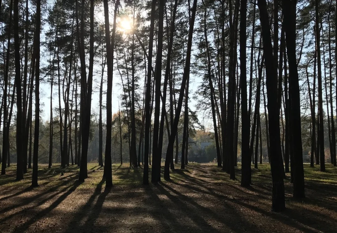 Баси Суми журнал цукр Суми