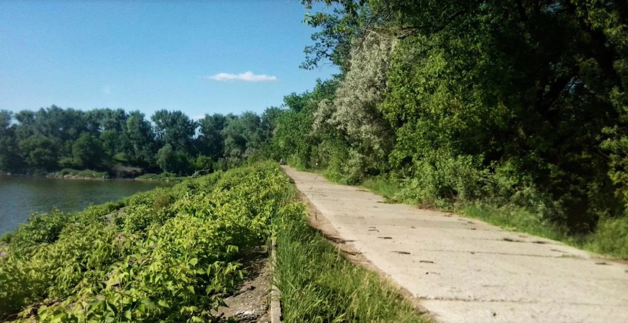 Суми Косівщина журнал цукр Суми