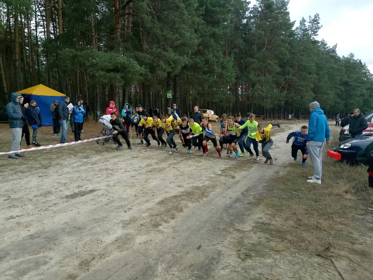 43471340 1859869704067235 6002532922932854784 o