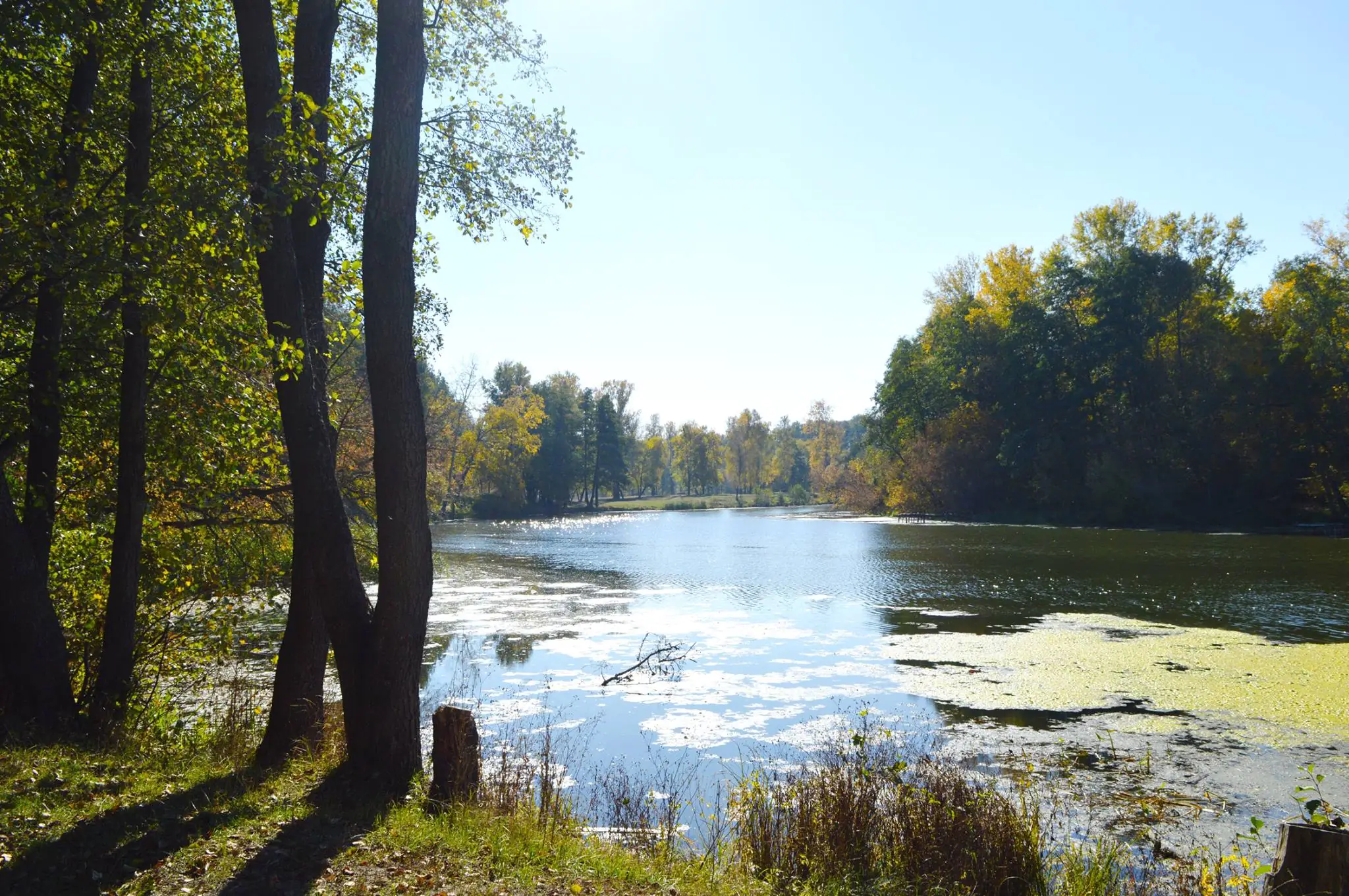 43879238 2152286771711861 7258328300257280000 o