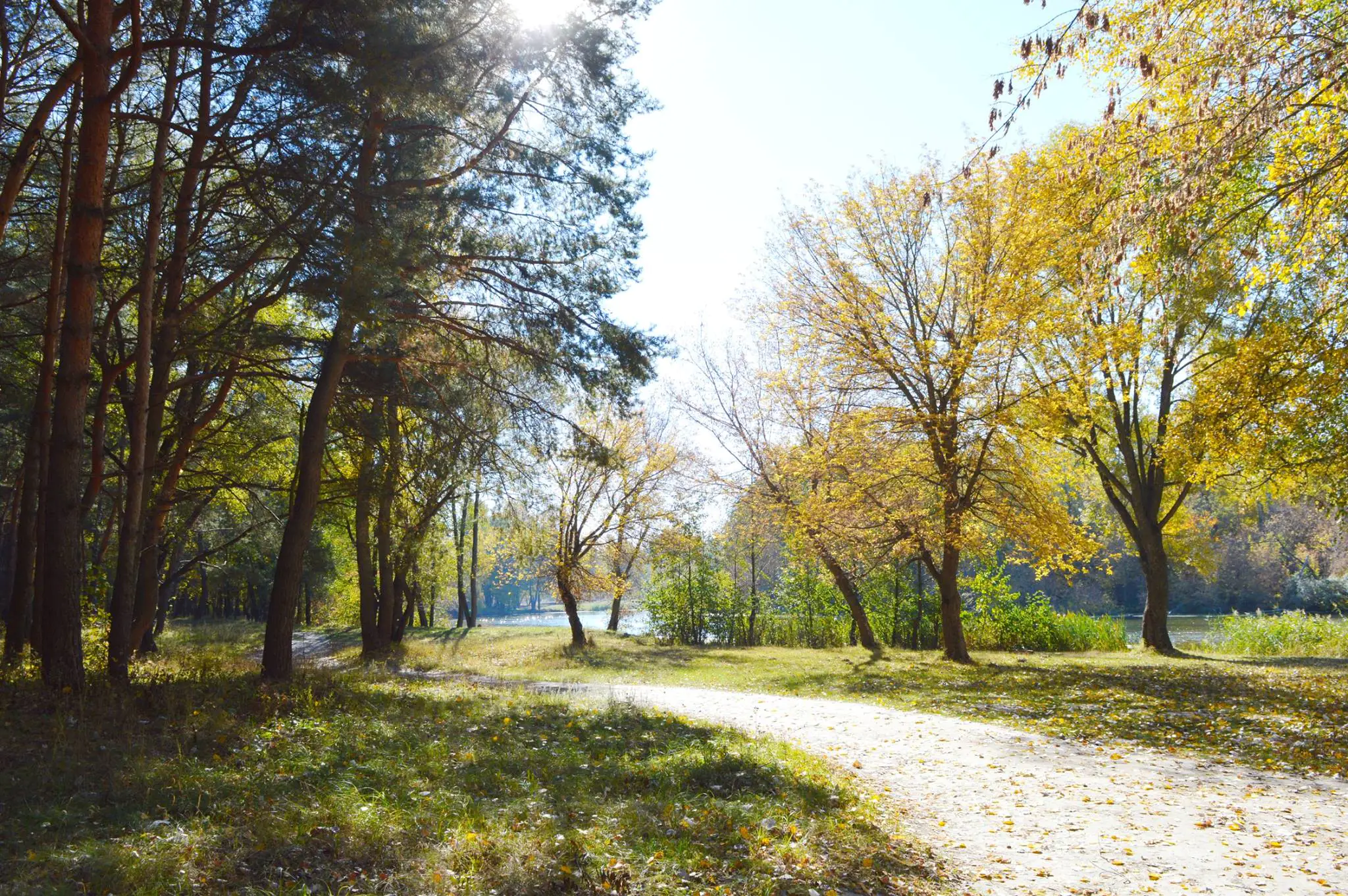 44027502 2152286838378521 8591077736200536064 o