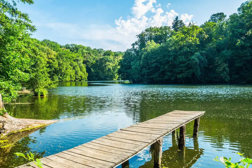 Нескучне Тростянець