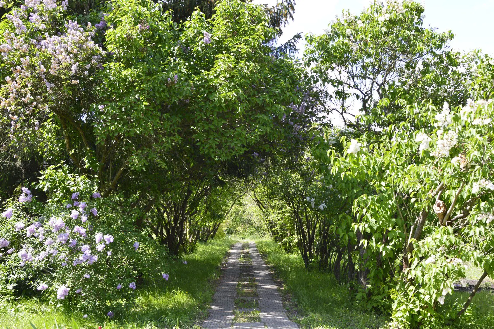 98203466 2597728417167692 520744555344035840 o