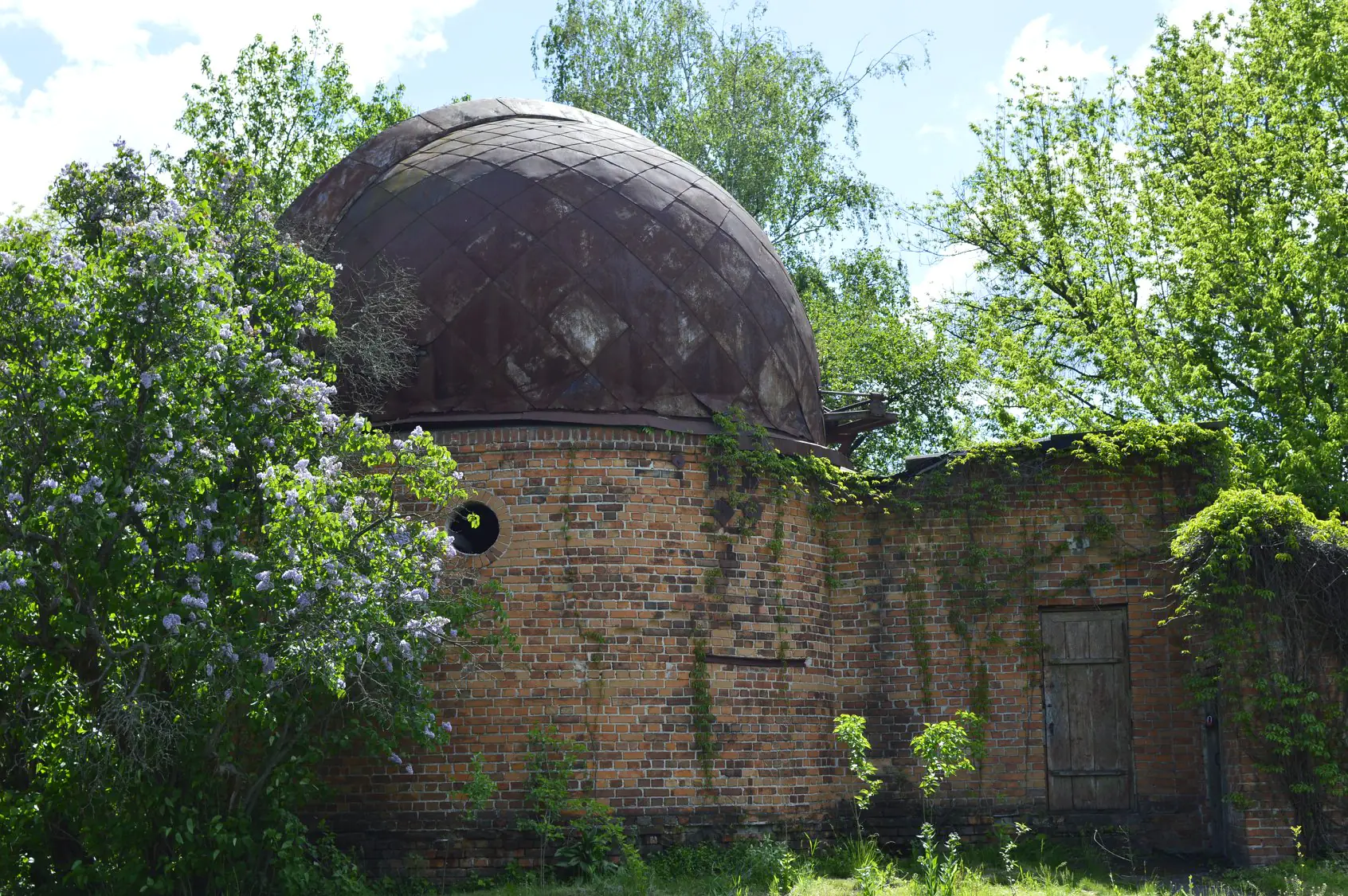 98338316 2597728623834338 5549025719830446080 o