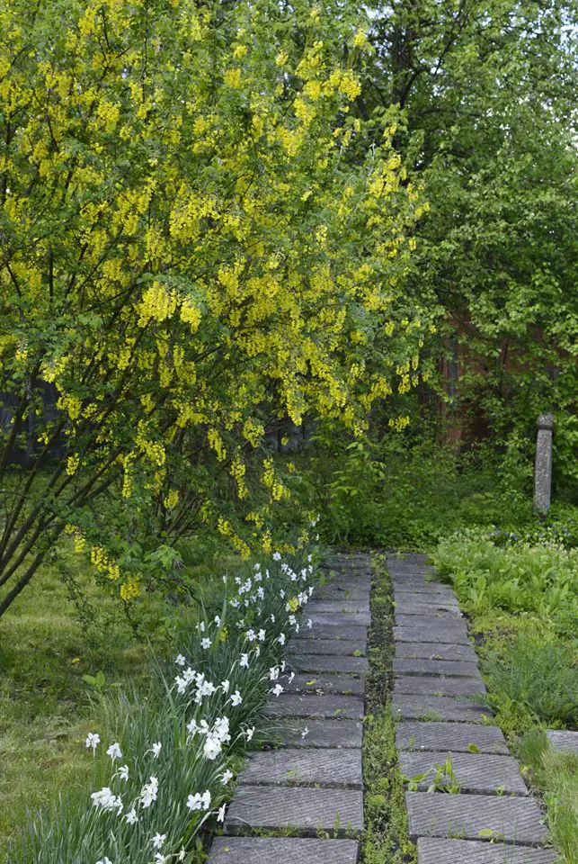 98851699 2597728127167721 4356843412364722176 o