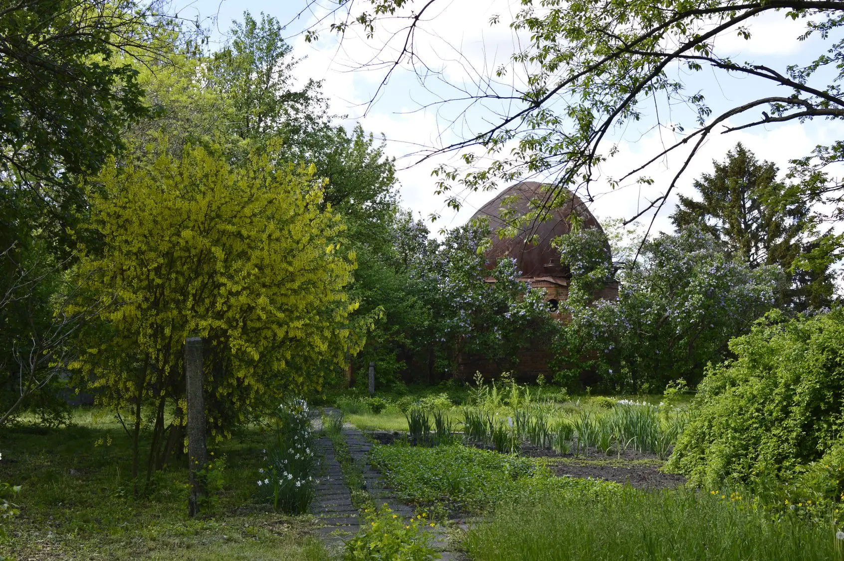 99133622 2597727390501128 3531712969975005184 o