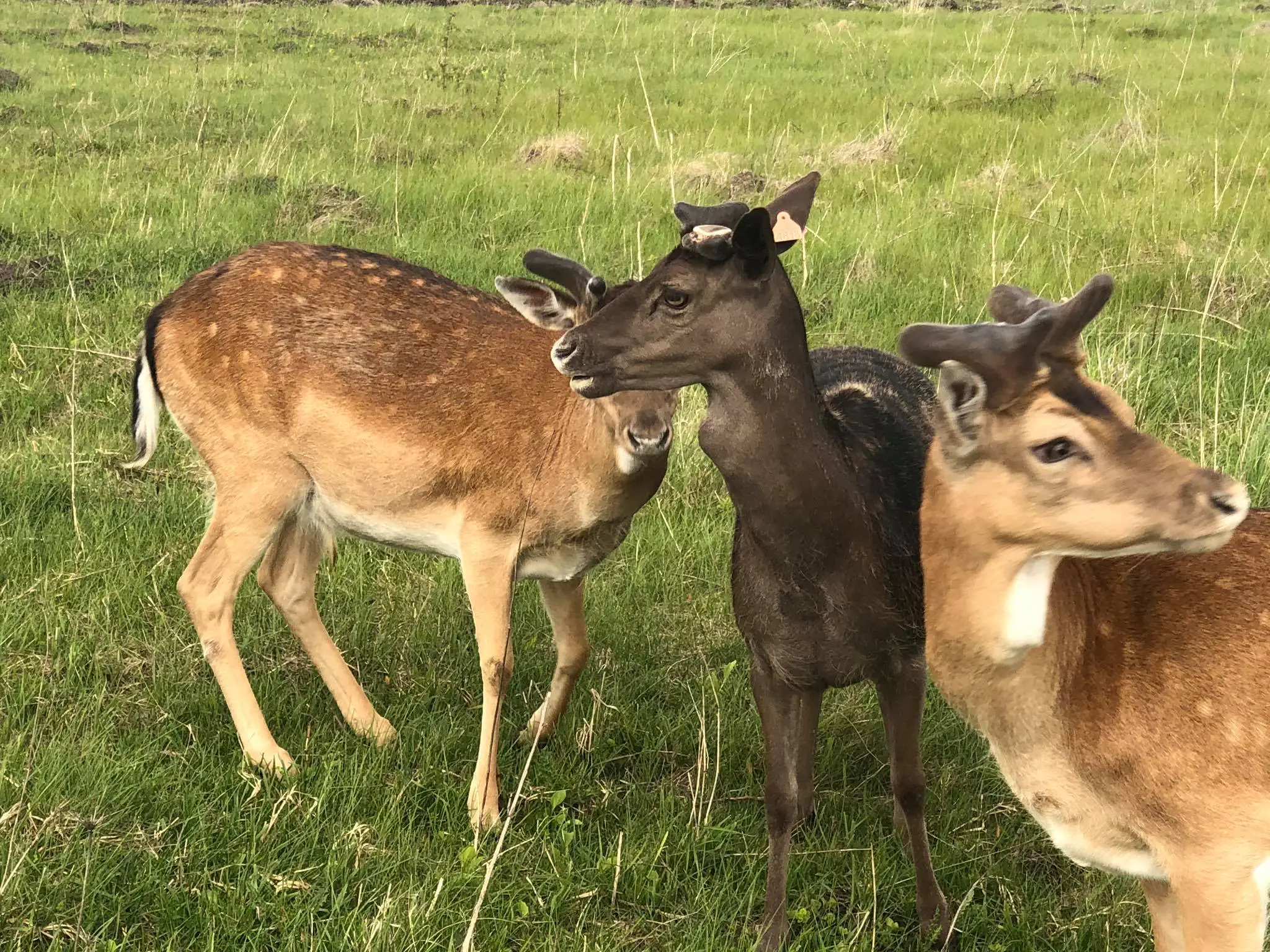 100591943 2047717945372503 6002227739736670208 o