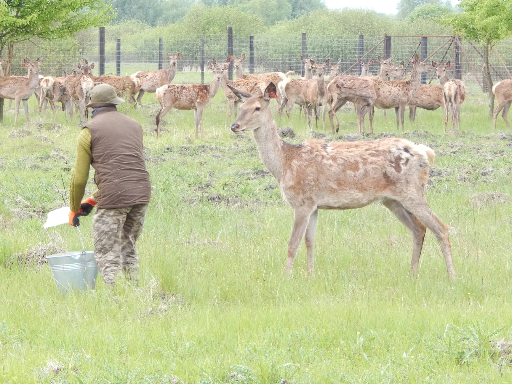 100644874 2047716788705952 2481897304974426112 o