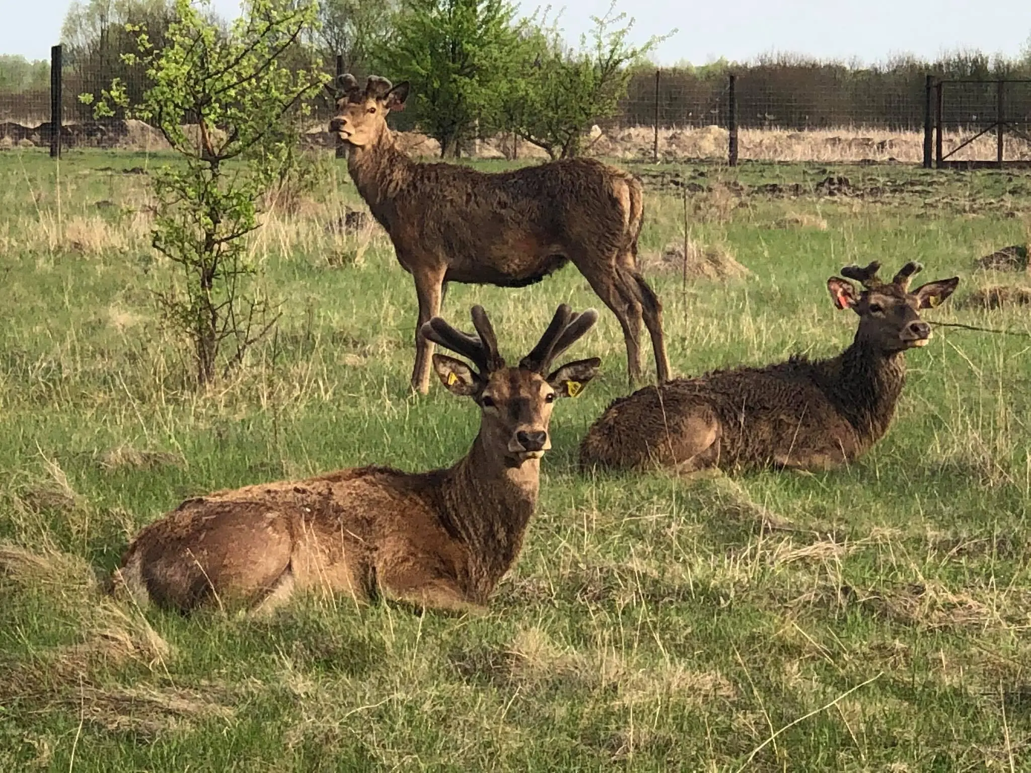 100829350 2047717745372523 5713021826188181504 o