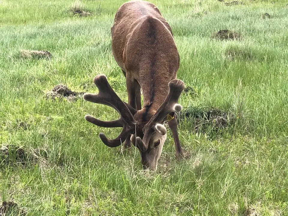 101272586 2047717315372566 4210439668145061888 n