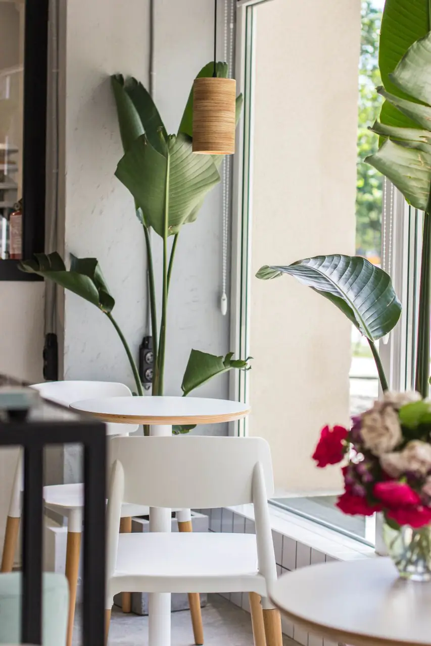 6d9243a6 df66 4f42 bdef 780eecd2e0ca