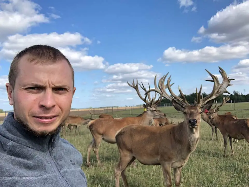 79029953 2047716942039270 4968539058457280512 n