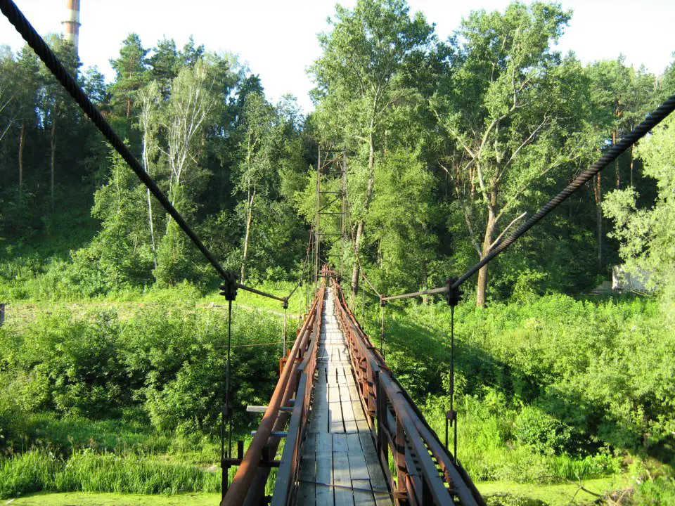 149274 365598973557002 538642855 n