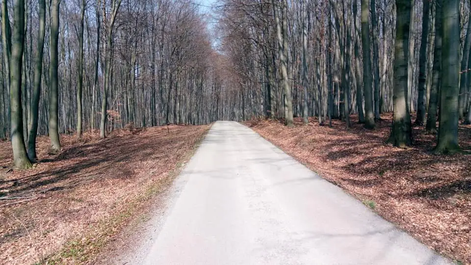 55464981 2061613033907202 8858340584524349440 n