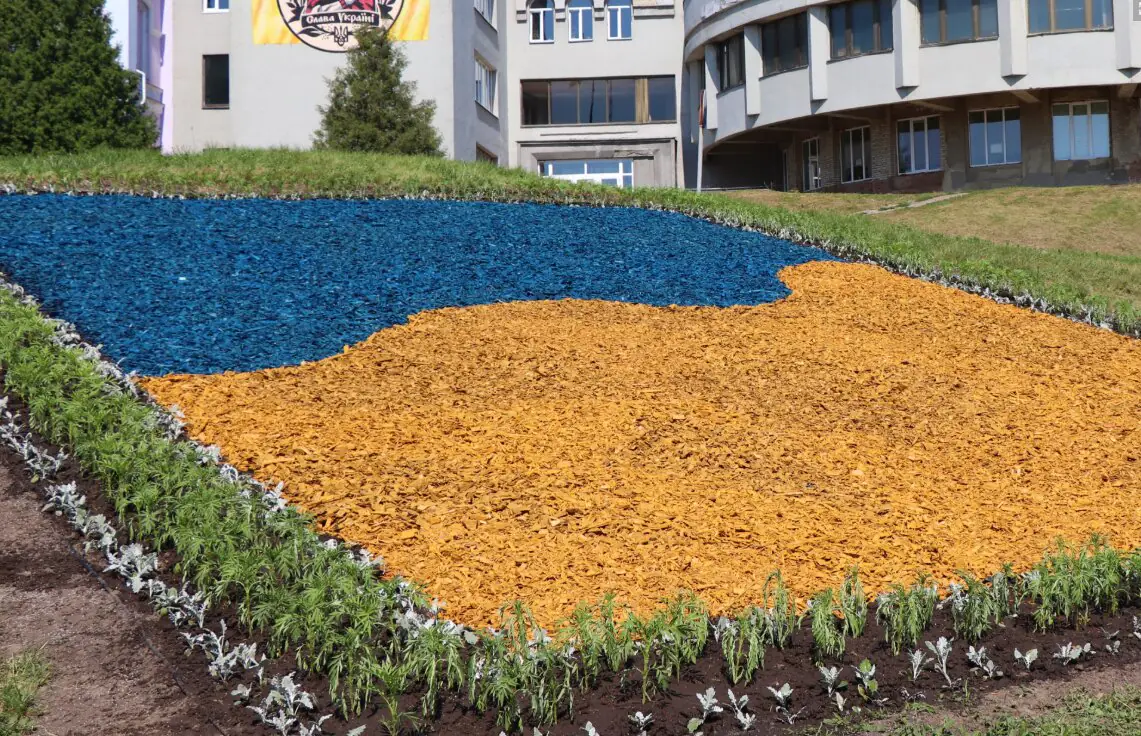 106004991 3921489557926064 1621149374668166759 o