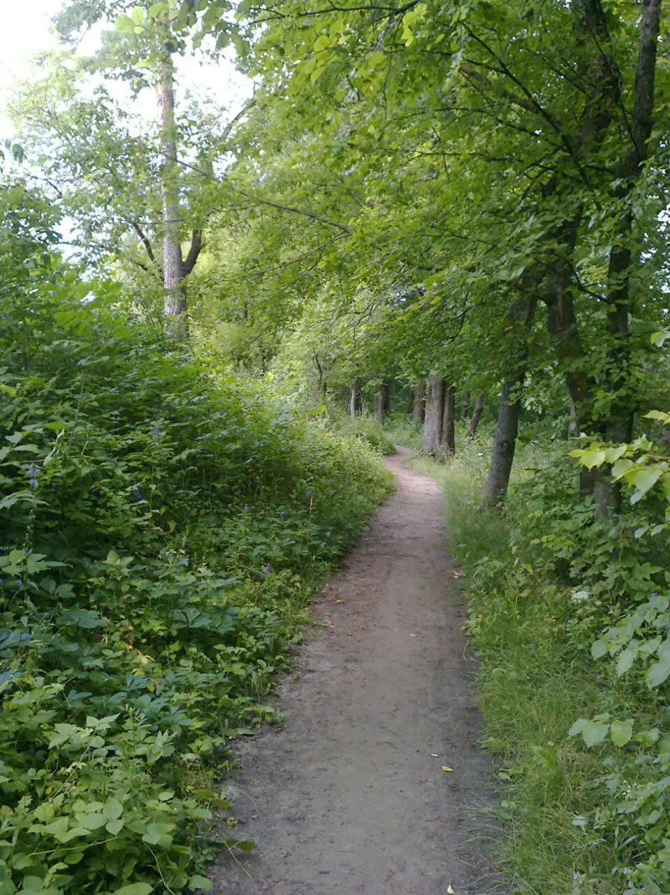 116261588 686701331911668 2759210720346793862 o