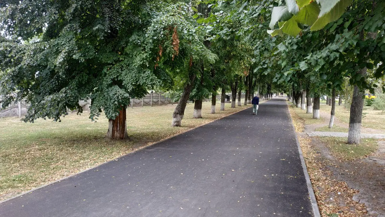 photo 2020 08 13 10 42 37 2