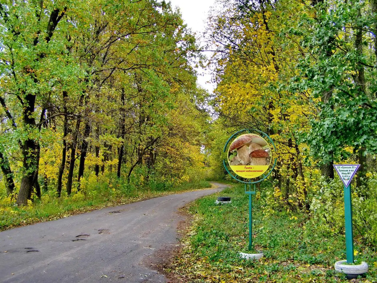 photo 2020 08 13 13 12 59