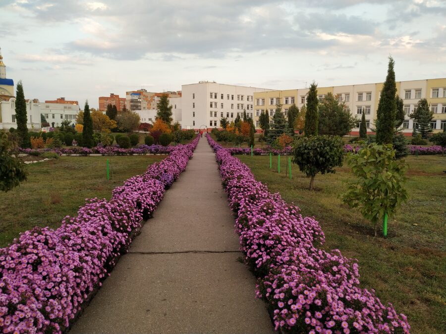 Іванна Чукур scaled