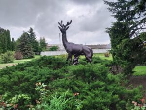 Роман Петров Факультет ветеринарної медицини СНАУ scaled