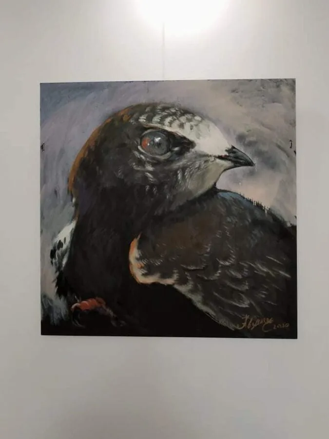 119979792 2398575747115286 6190842041472092597 n