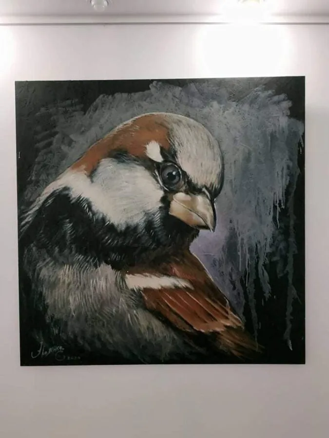 120180045 2398575623781965 1411075769008217759 n