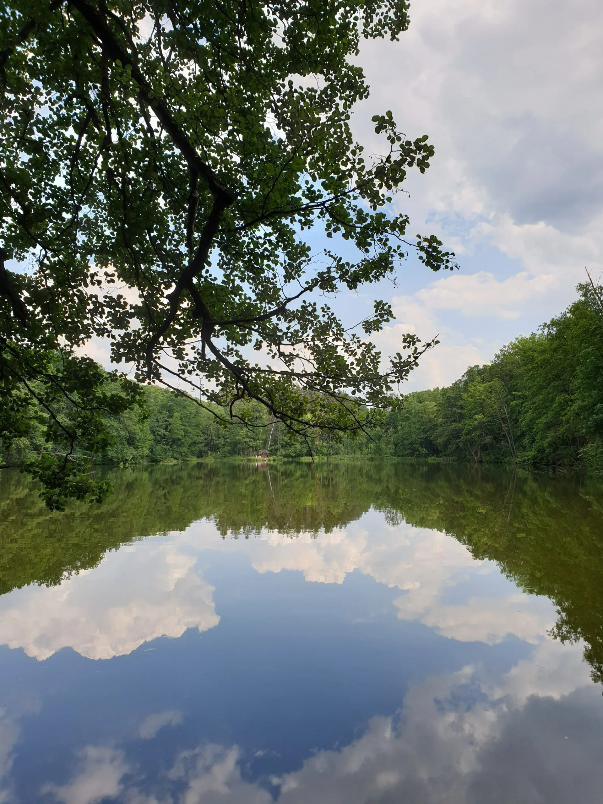 Bohdan Moisiienko scaled