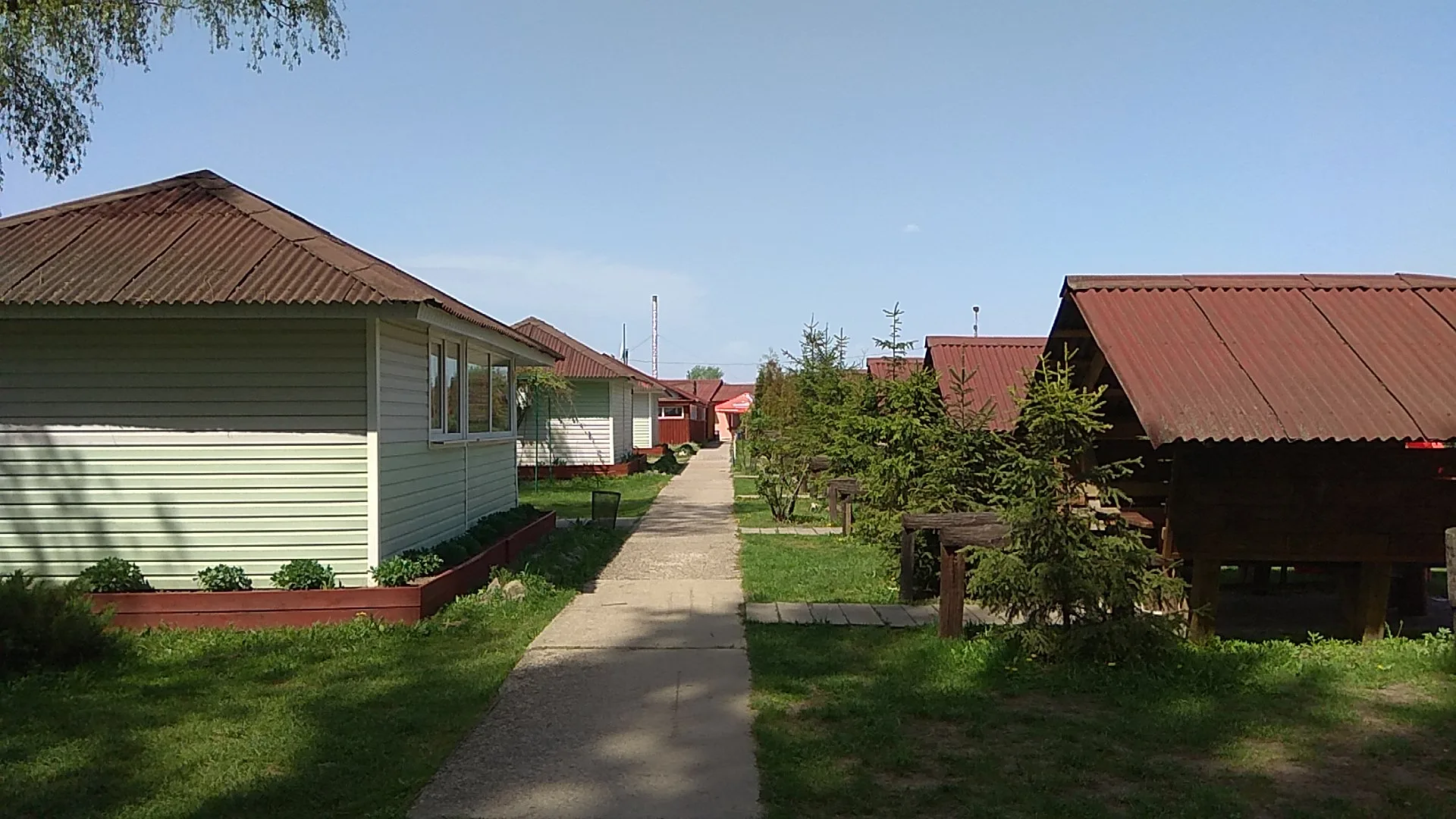 Konstantin Thrasher 2018