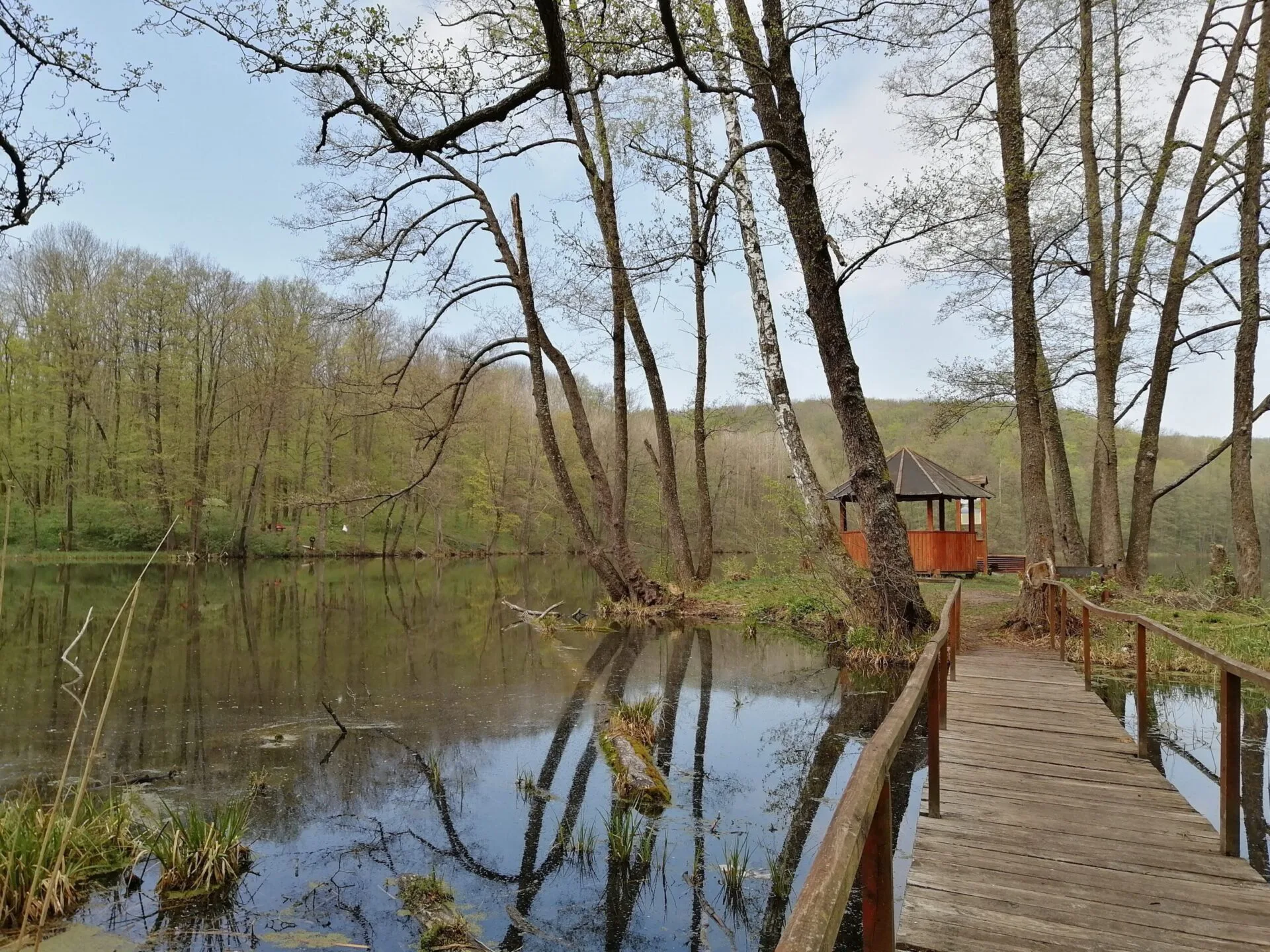 Maksym Semeniaka3 scaled e1599645594656