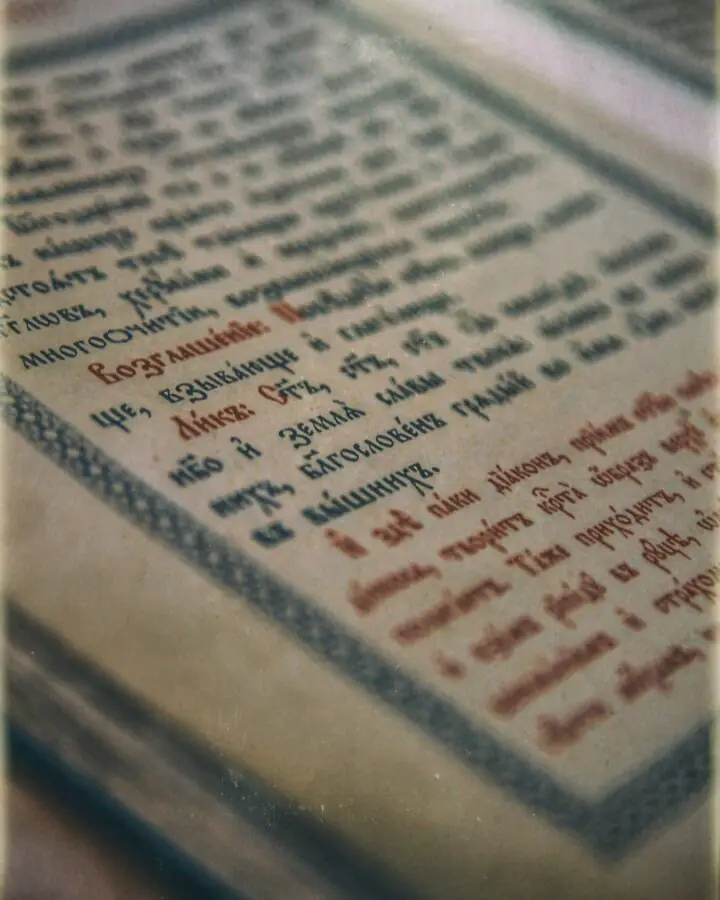 Staroselskyy Batiushka 2