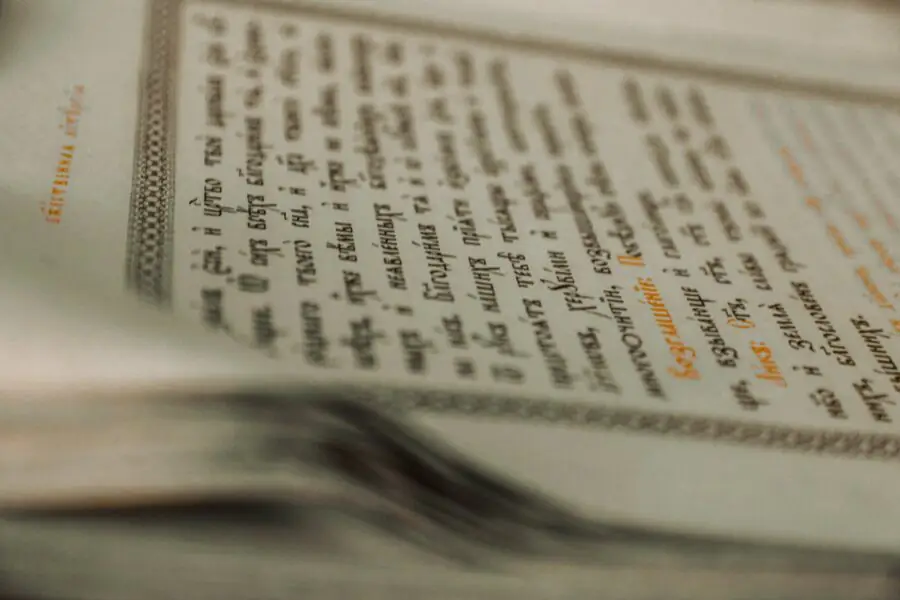 Staroselskyy Batiushka 8