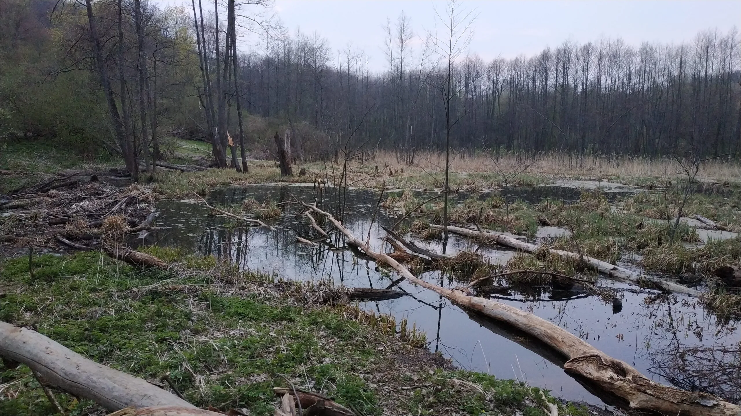 TSukr scaled e1599647629273