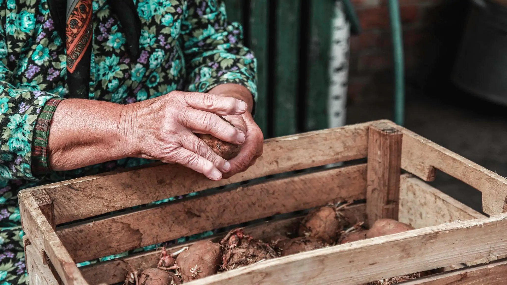 Zinaida YAshchenko 2