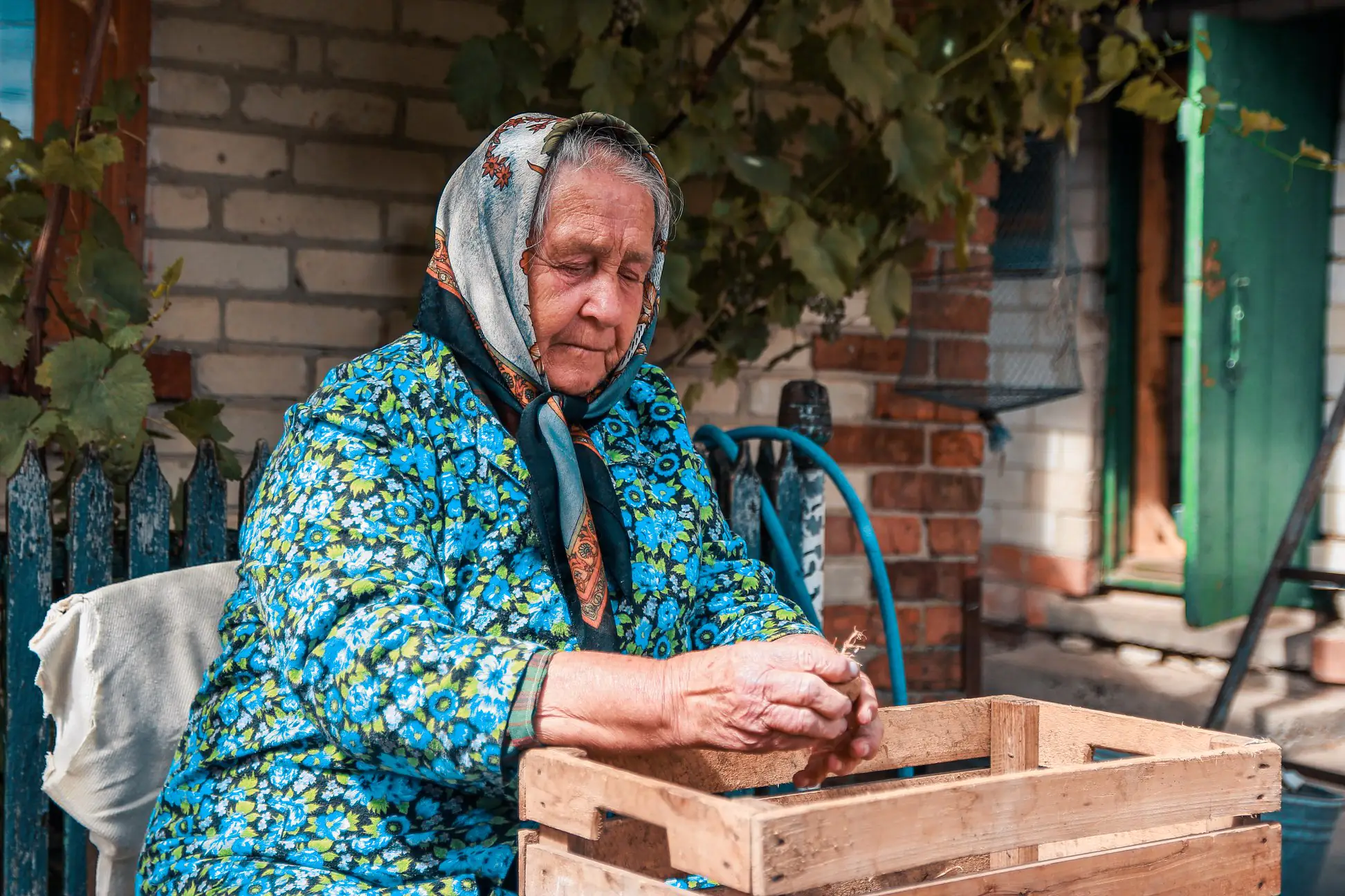 Zinaida YAshchenko 6