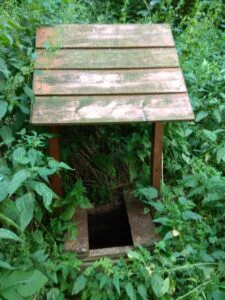 artmuseum.lebedyn.org