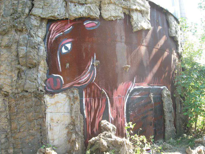 121164194 2726796017594264 8635250097644180467 n 1