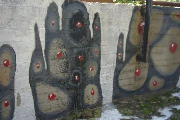 121367190 2726797514260781 3614075269403544559 n