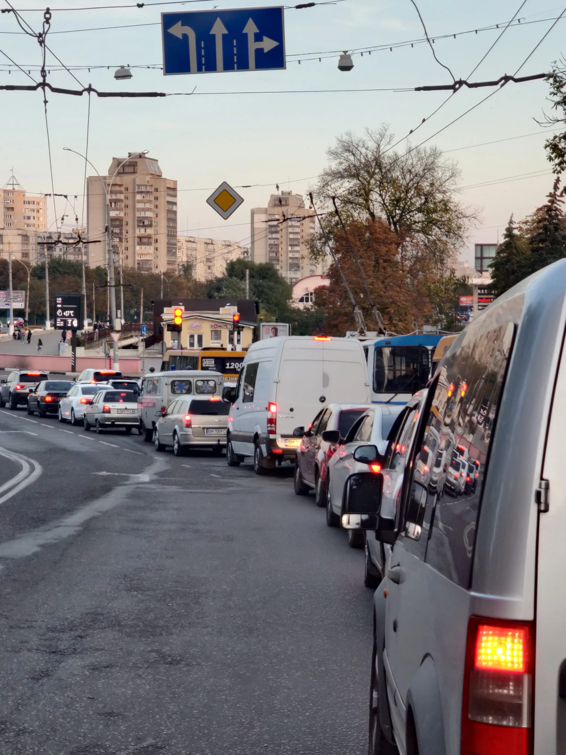 IMG 20201009 173503 scaled