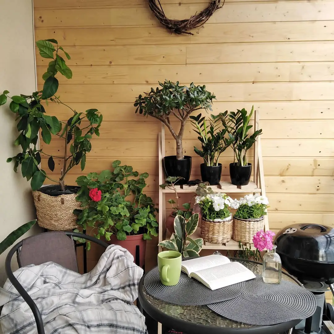 414004890 95011920 263986507976560 2246604162588837449 n