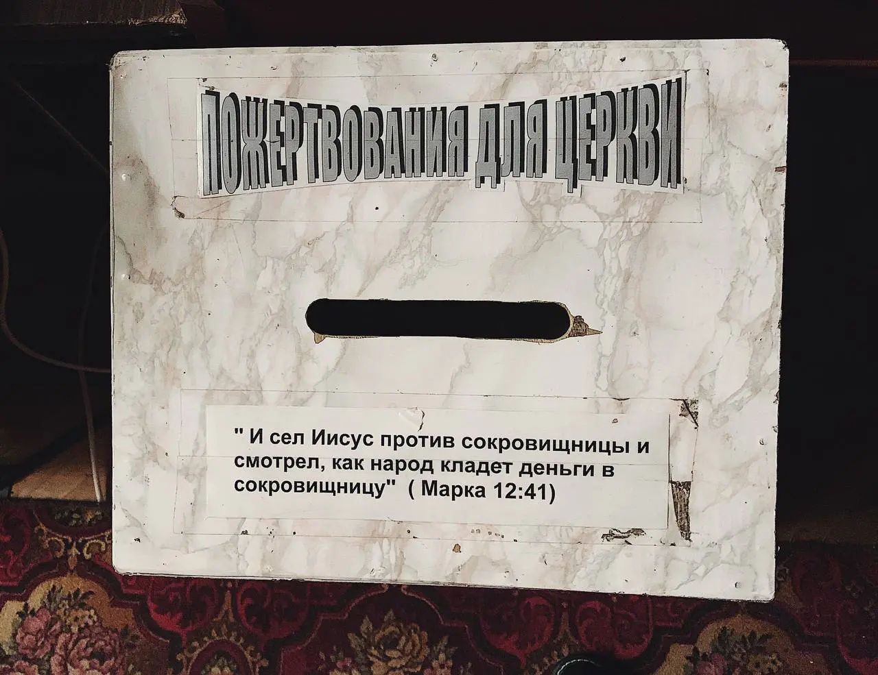 photo5420238798043852755