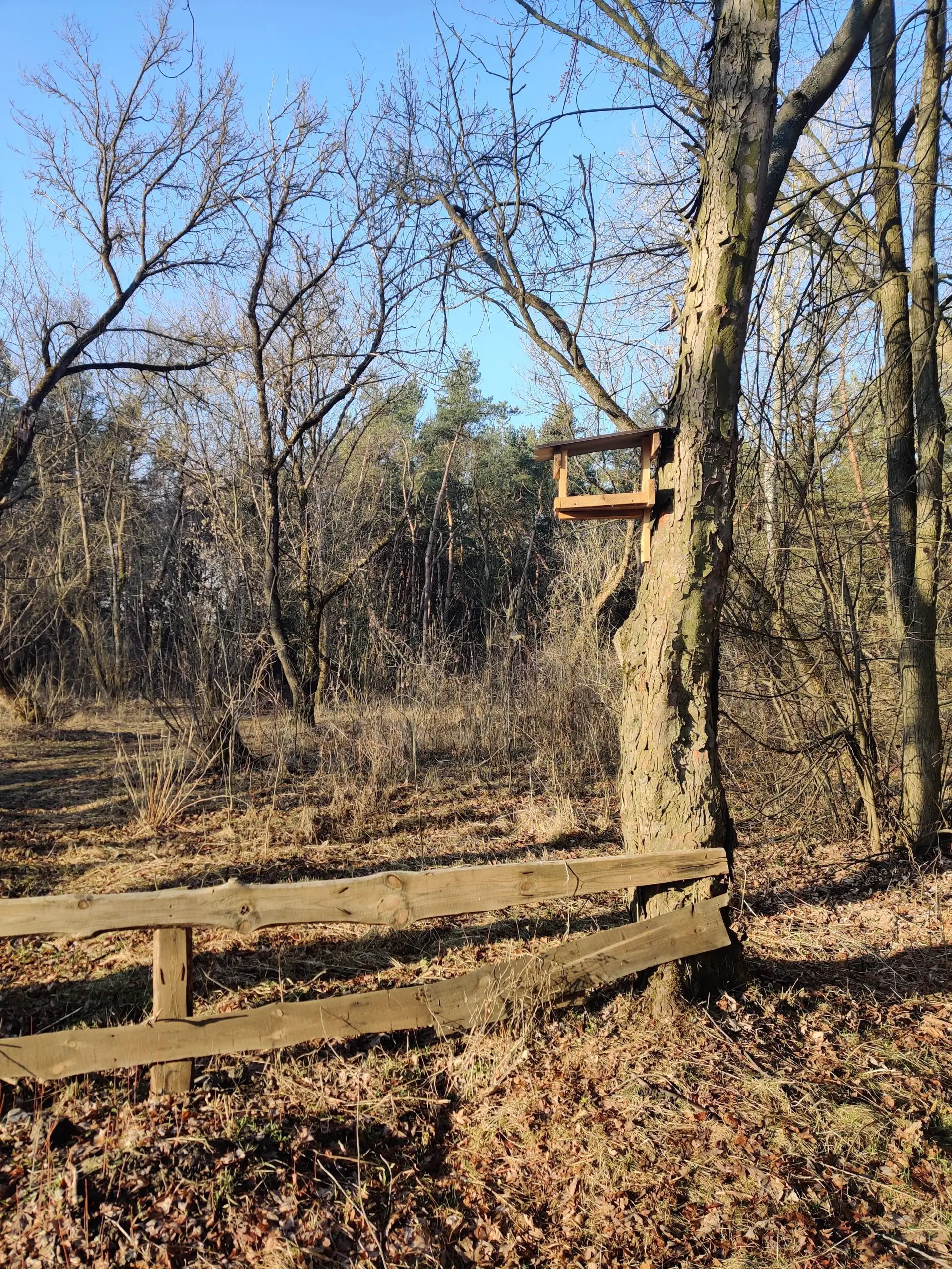 IMG 20210406 074111 scaled