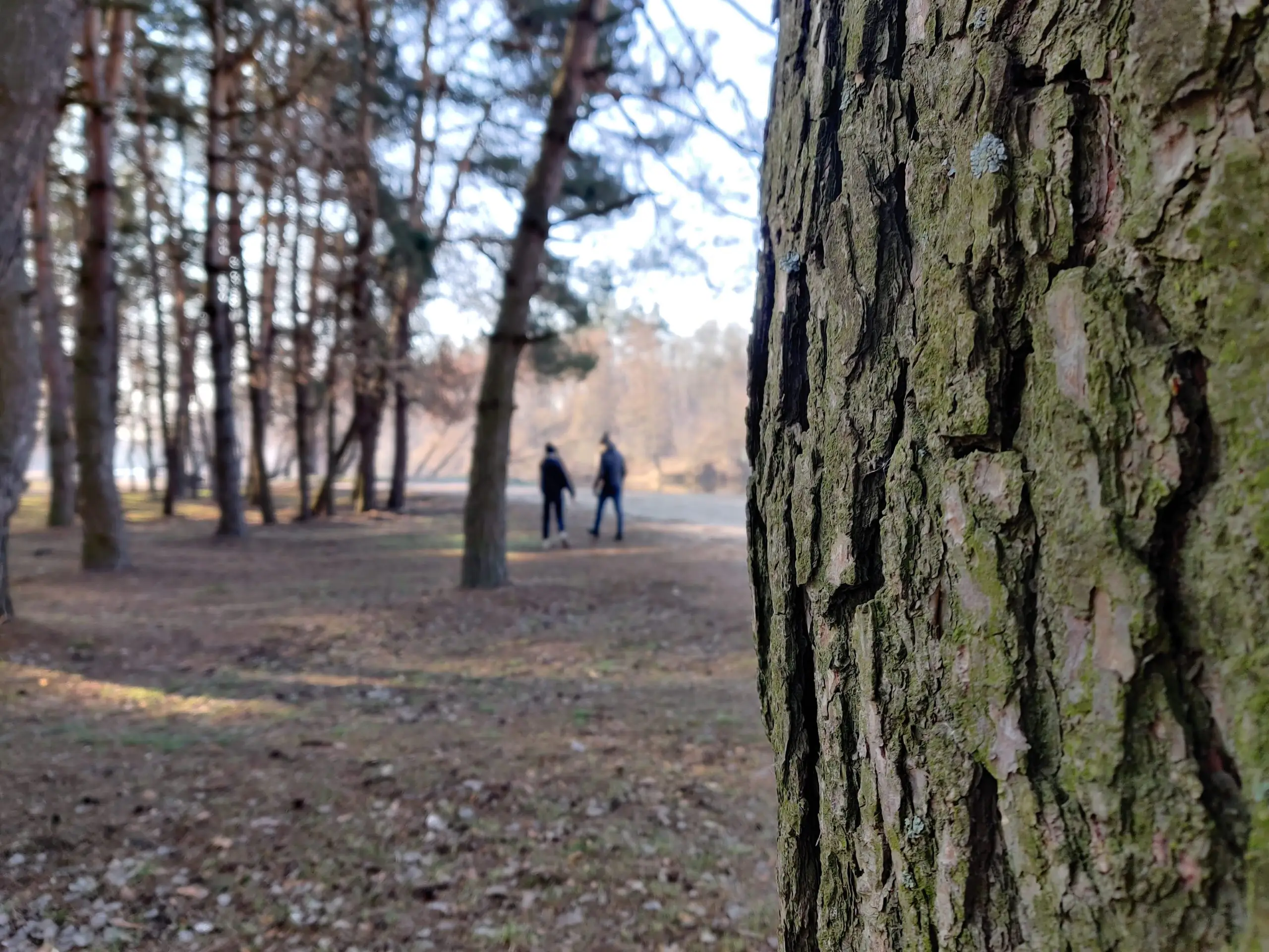 IMG 20210406 075429 scaled